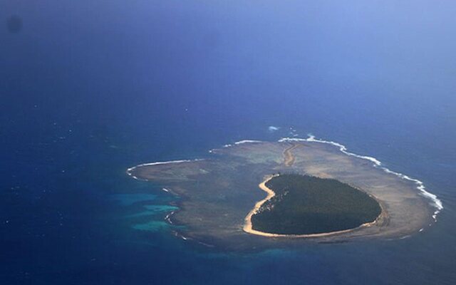 Tarzans Beach Resort