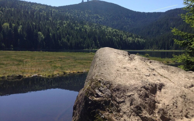Cosy Apartment in Prackenbach With Covered Terrace