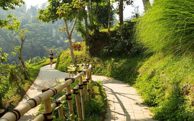 Padma Resort Ubud