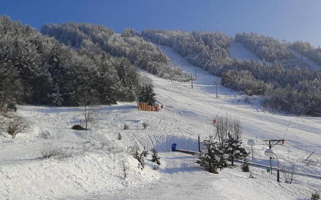 Appartement Villard-de-Lans, 2 pièces, 5 personnes - FR-1-515-133