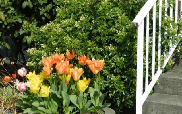 Serenity Bed and Breakfast