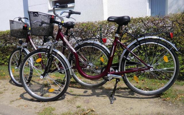 Papillon Wohnung 06-2