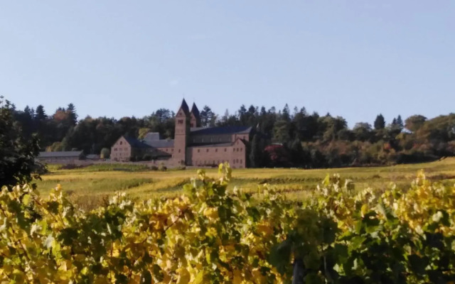 Rheingau und Weltkulturerbe Mittelrheintal erleben - Ferienappartement in Winkel