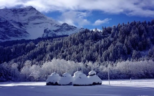 Contemporary Swiss Escape