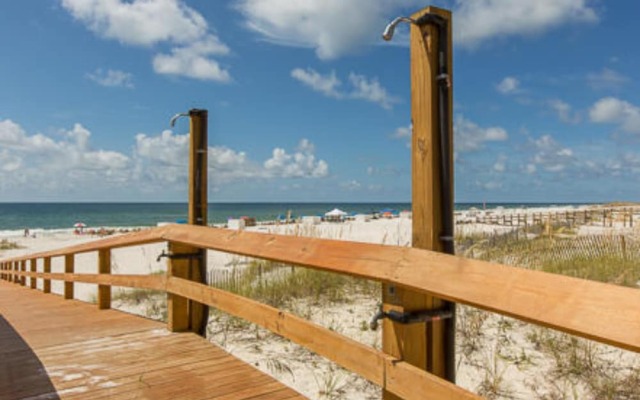 Summer Salt by Youngs Suncoast