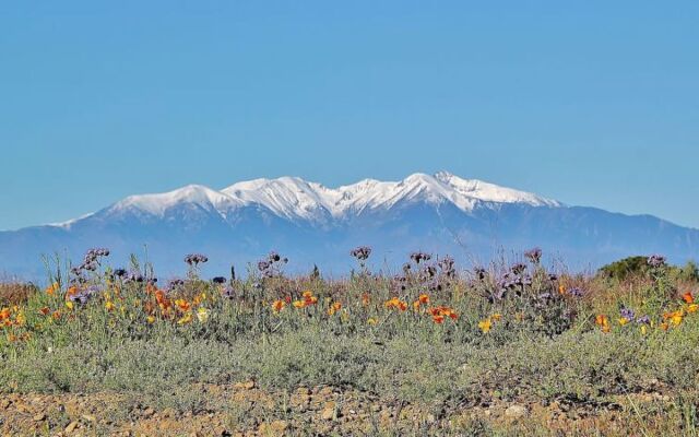 Le Lotus Blanc (LBR200)