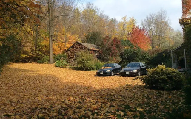 Richmond Manor Bed & Breakfast