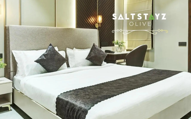 Saltstayz Select - Pitampura