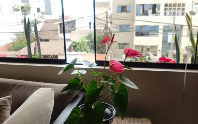 Habitacion con Terraza Hermosa en Lima