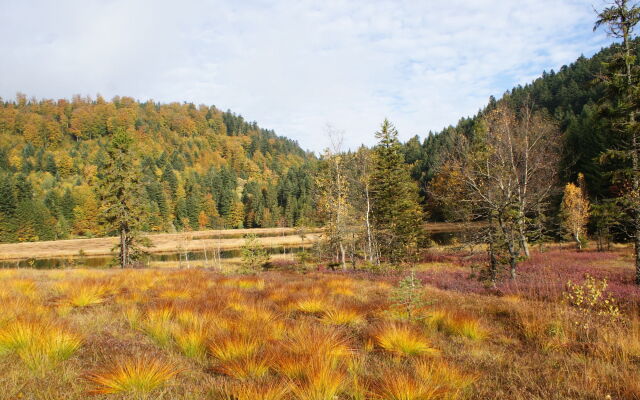 Hôtel Les Chatelminés