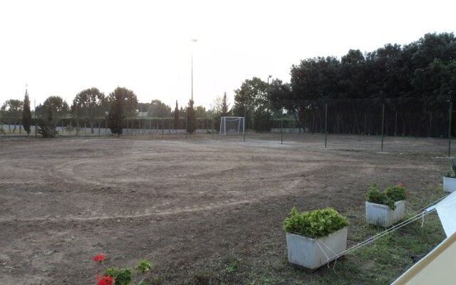 B&B Ulivi d'Argento