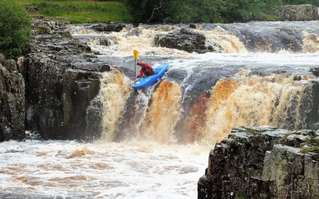 Forresters Bar & Restaurant with Rooms