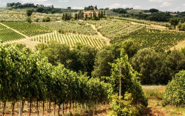 Villa Ademollo with Pool in Chianti Hills