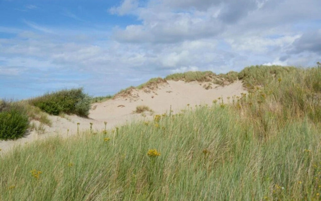 Apartment Wenduine With Stunning Sea View