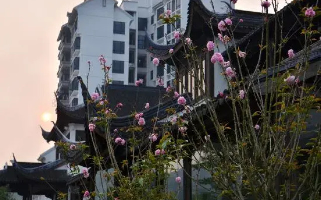 Zhenyangxia Scenic Area Theme Inn