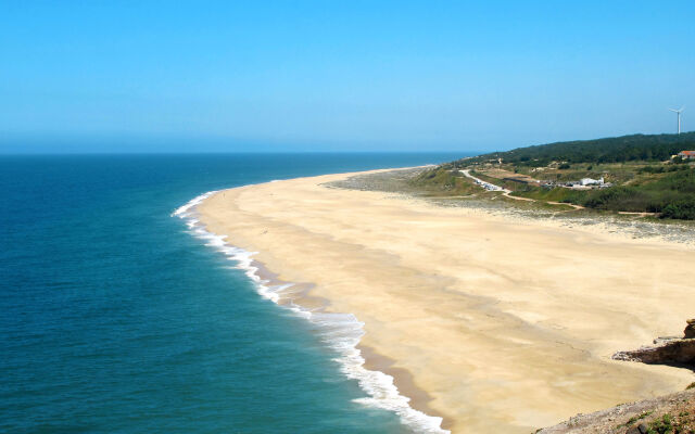 Conceição (NZE221)