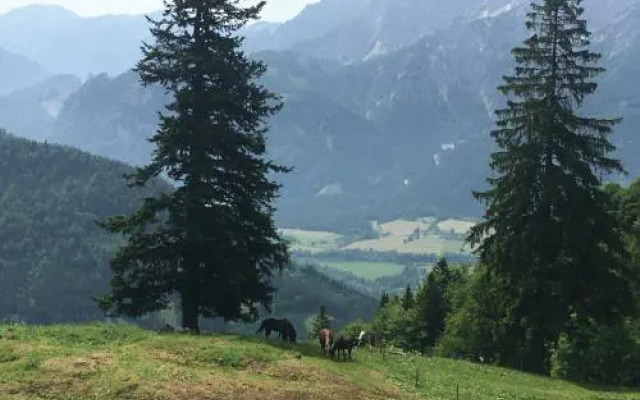 Wengerwirt