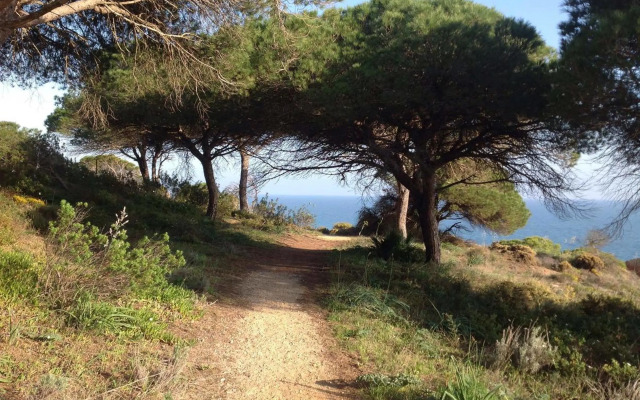 2 bedroom Apartment Falésia Beach