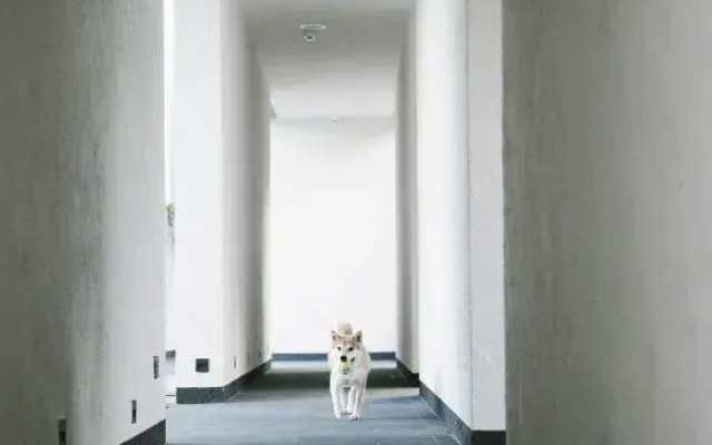 Translation: Tingjian · Moganshan | Forest Oxygen Private Hot Spring Resort Homestay