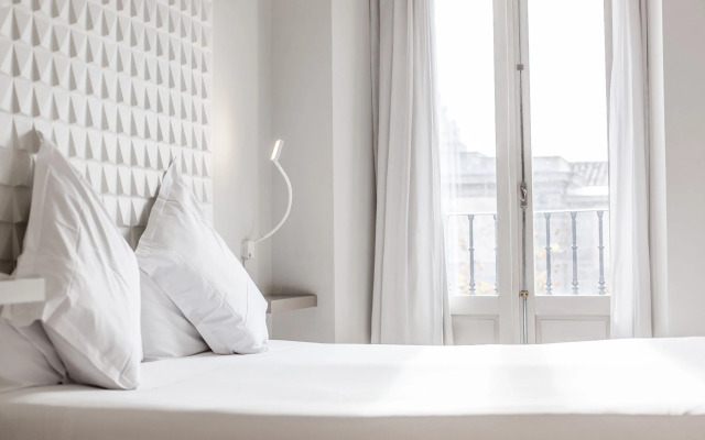 Hotel Chic And Basic