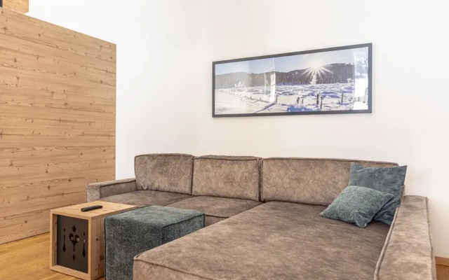 Modern Apartment 100 m From ski Area