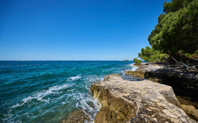 Apartments Galijot Plava Laguna