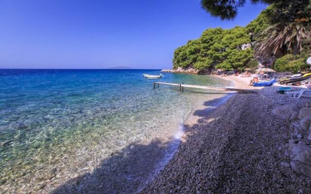 Ruz - Near Beach - 3 - SA 101