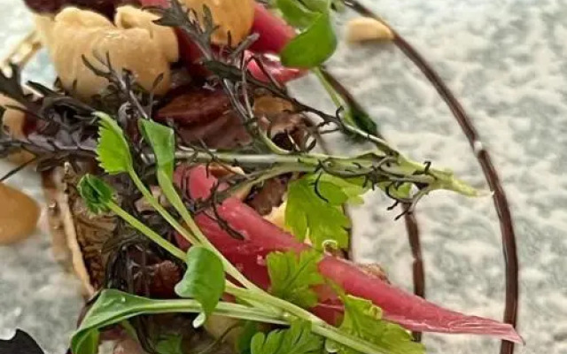 Logis Hôtel Des Sittelles