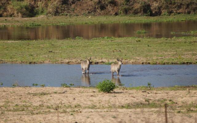 Tau @ Kruger