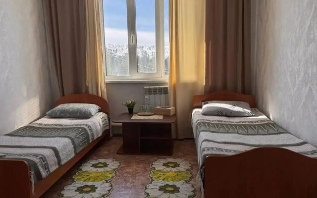 Кедр Золотой