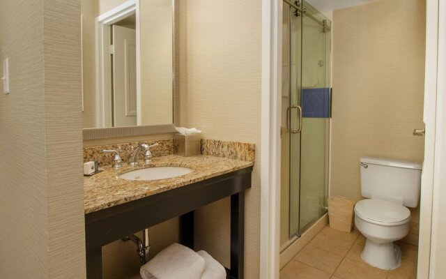 Indigo Buffalo - Amherst