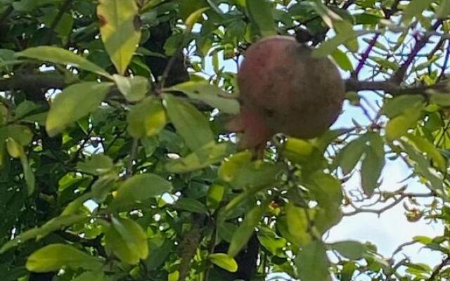 Black Sea Ochamchira