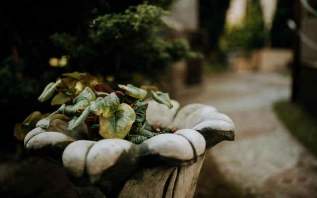 Wakacyjna przygoda w Gdyni