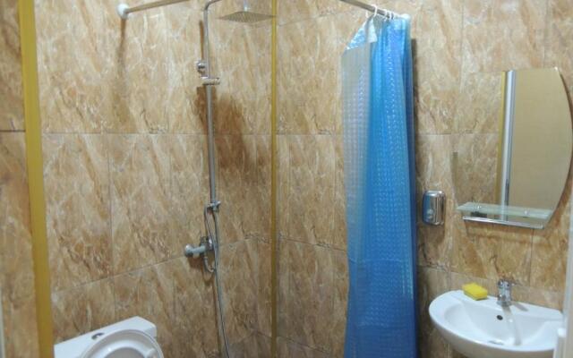 Guest House Ioane
