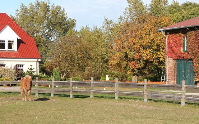 Pleasing Apartment in KÃ¼hlungsborn With Terrace