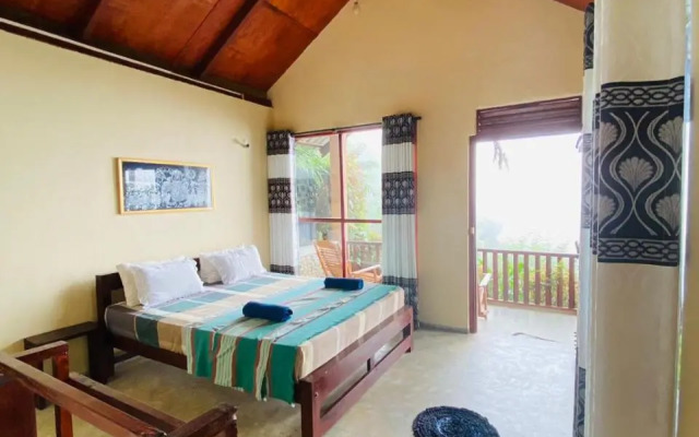 Rainforest Nature House