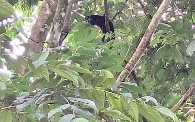 Hotel Sarapiquí - фото 5