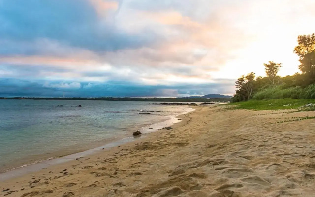 LiVEMAX AMMS CanNa Resort Villa