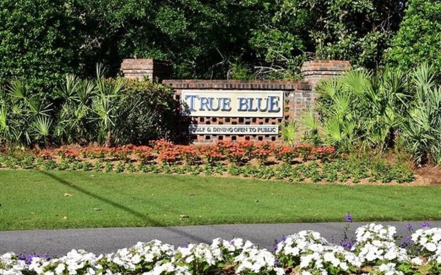 #41A True Blue - 2 Br condo by RedAwning
