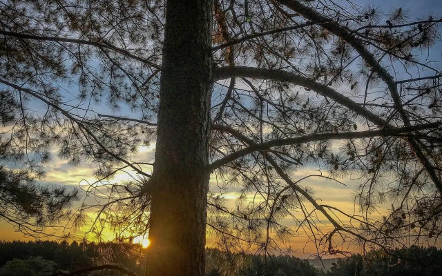 Estancia Pinos de la Quebrada