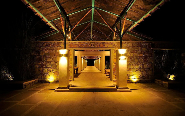 Trees N Tiger Sariska