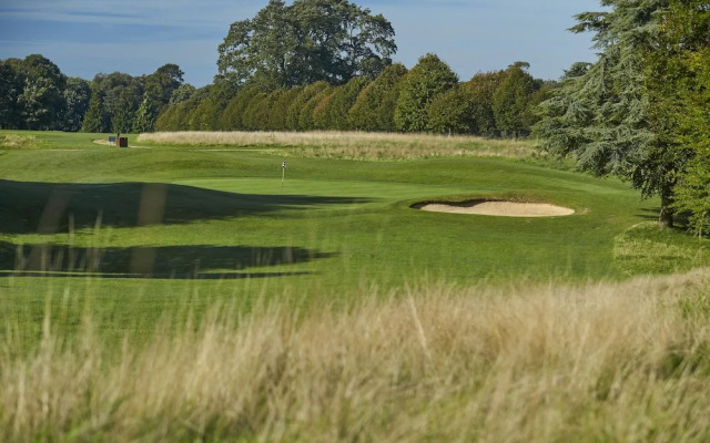 The Goodwood