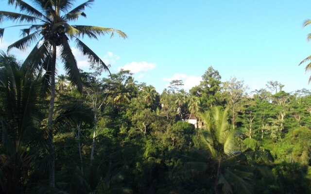 Doni House & Villa