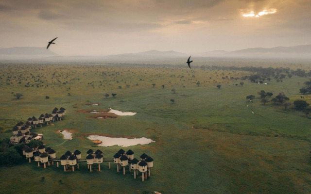 Salt Lick Safari Lodge
