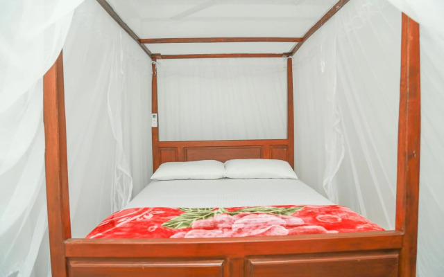 Coconut Hill Homestay