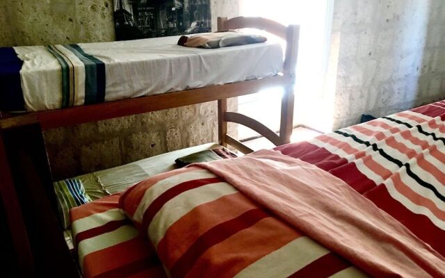 Lion AQP hostel