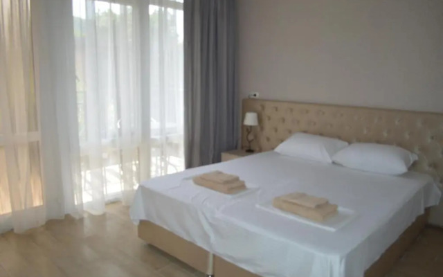 Guest house on Mikhailovskii