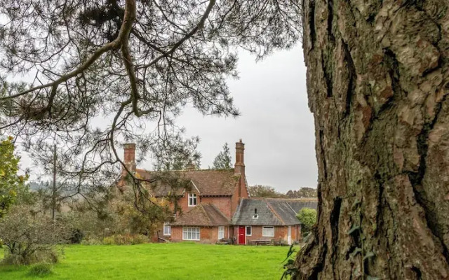 Tranquil Forest Retreat in Brockenhurst