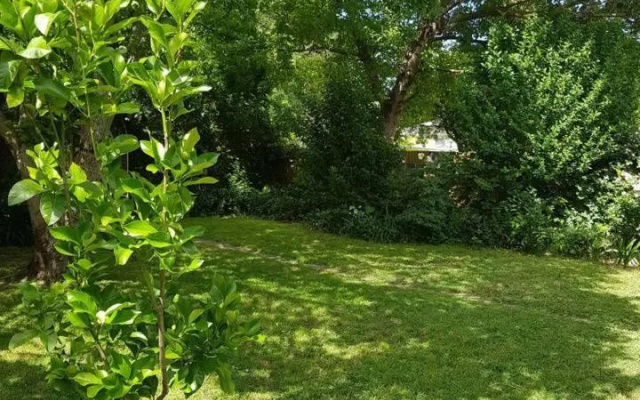 Cute Cottage On Byng - Walk To Town – Outside – Orange