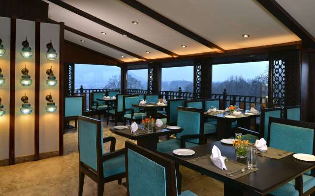 Golden Tulip